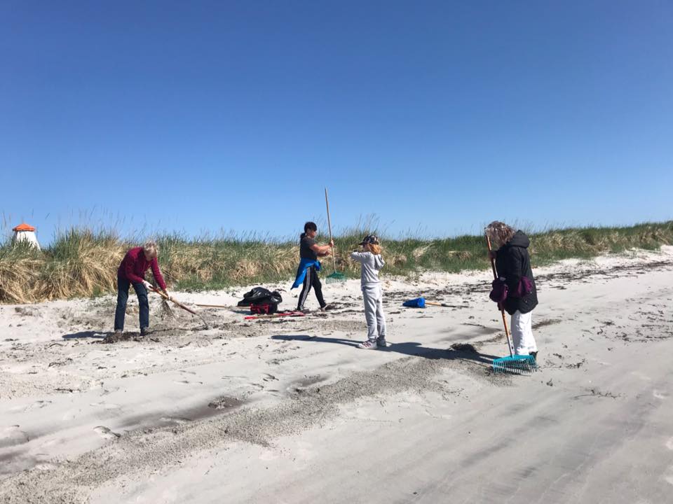 Strandrydding på Sandøya